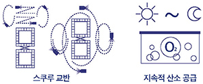 어장 내까지 적조생물이 유입되었을 경우 황토 살포방향 안내 이미지